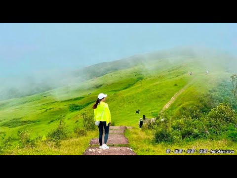 新北景點｜桃源谷步道內寮線，真快登頂大草原~放牛吃草，霧濛濛涼亭拍起來很有感覺，另一條路線也快抵達!!視野更棒看龜山島!!!