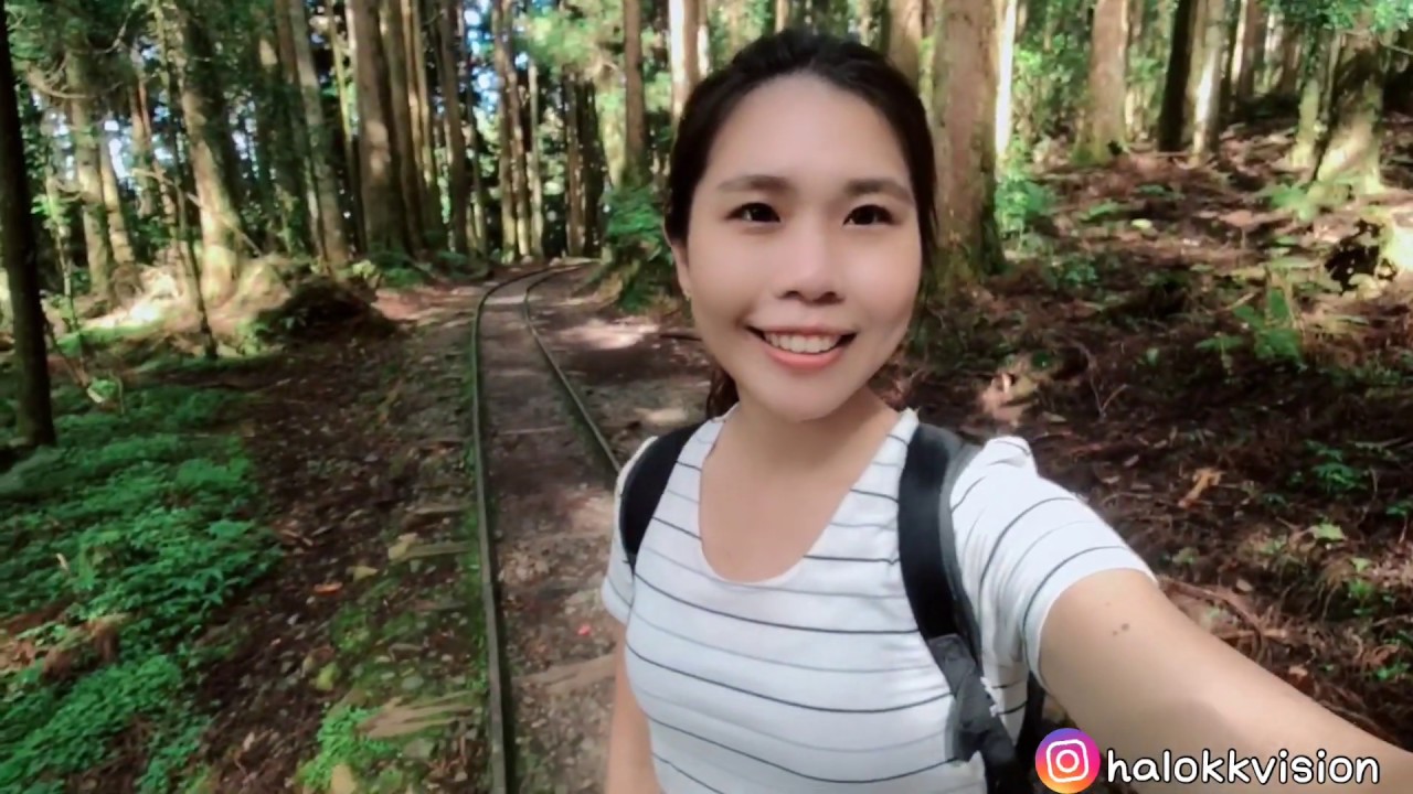 嘉義景點｜嘉義爬山:阿里山特富野古道,大凍山國家森林步道小百岳Get! (Bomgogo L7手機廣角鏡頭拍攝)