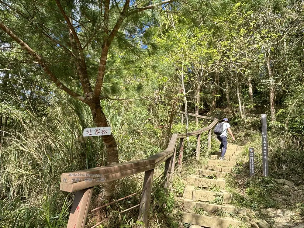 Guanziling Mt.dadongtrail 17