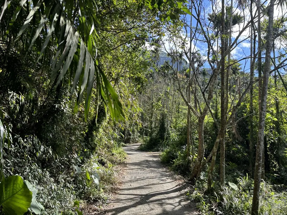 Guanziling Mt.dadongtrail 8