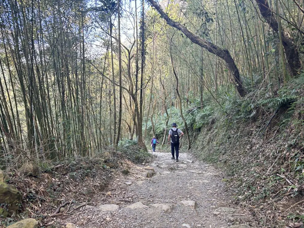 Guanziling Mt.dadongtrail 28