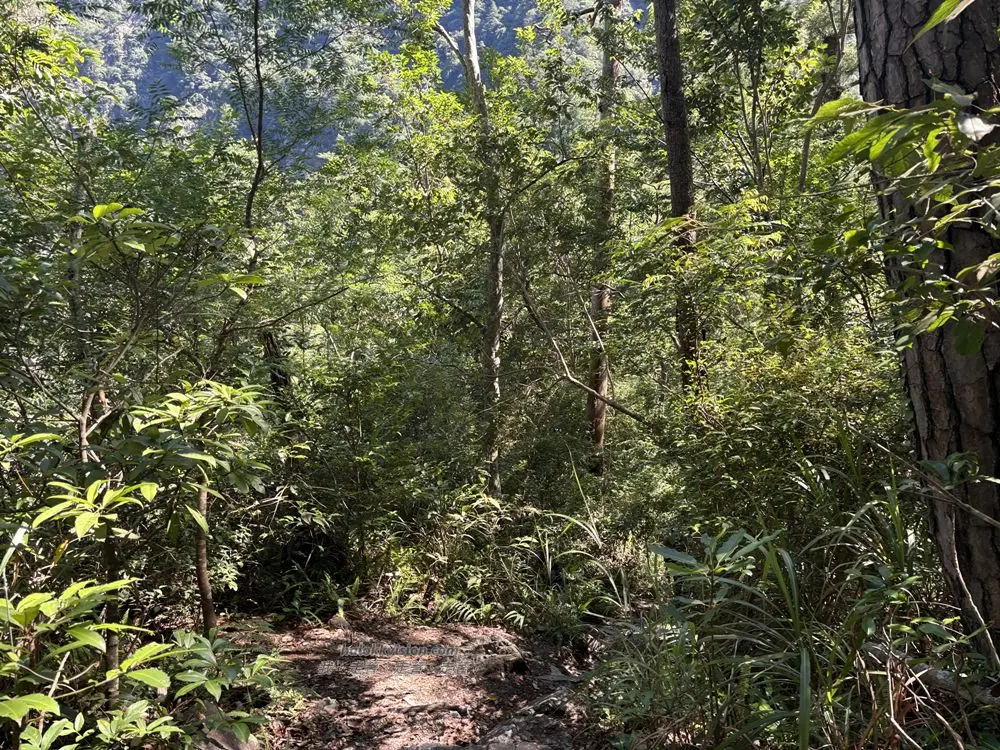 Mt.bojinjia 17