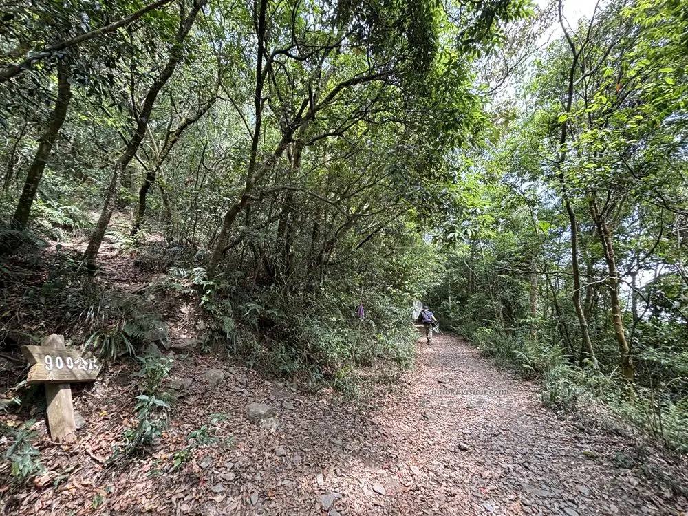 Pintung Guanwang 14