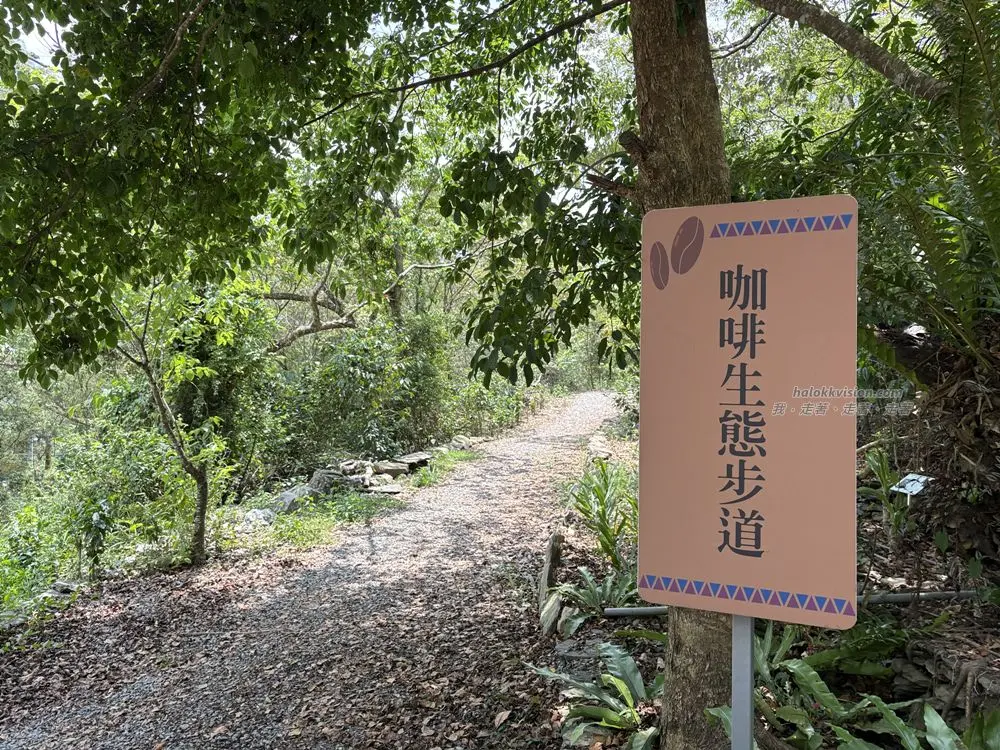 Pintung Guanwang 31