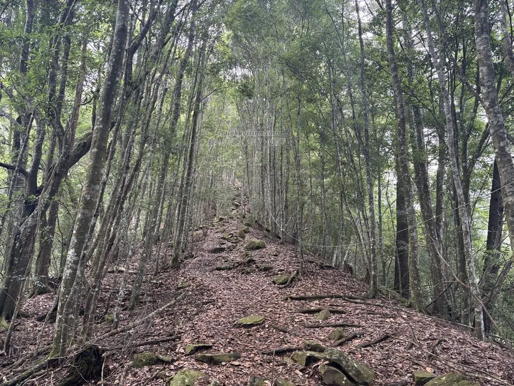 Mt.bojinjia 21