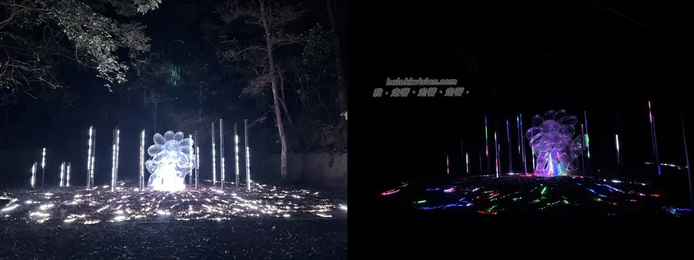 Longcilightfestival 2026 15