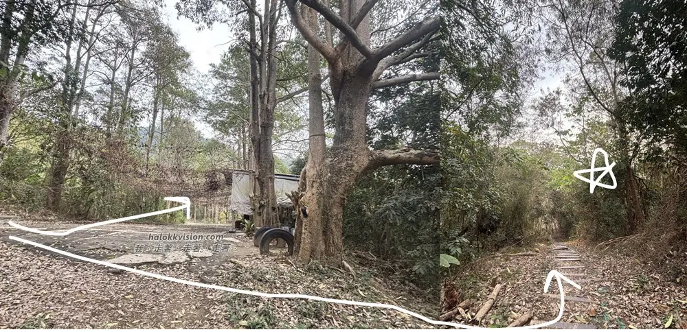 Taichung Yaorengoukeng 30