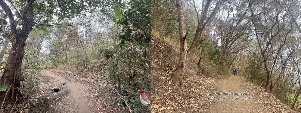 Taichung Yaorengoukeng 6