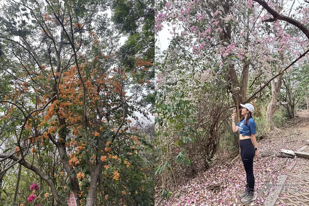 Taichung Yaorengoukeng 17