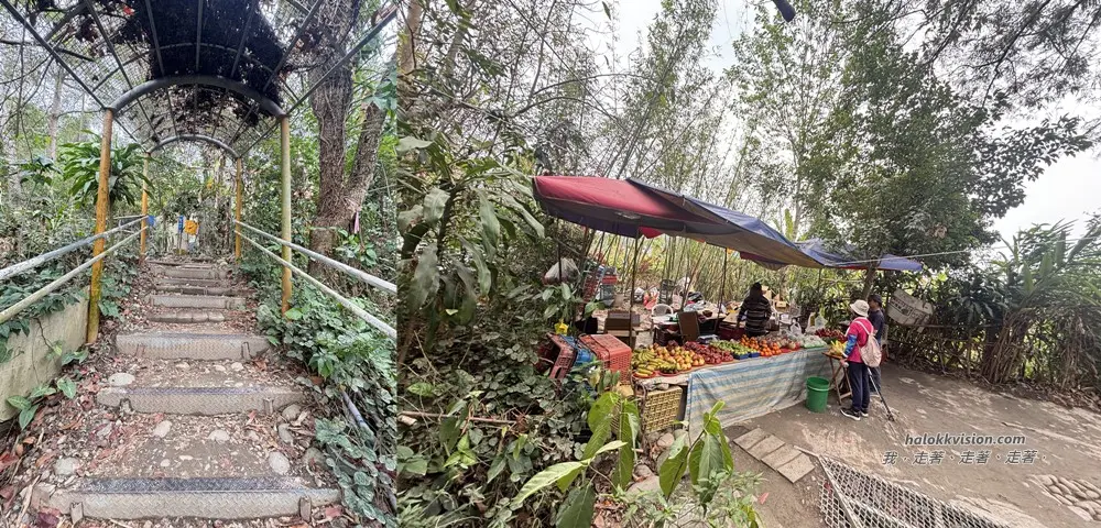 Taichung Yaorengoukeng 5