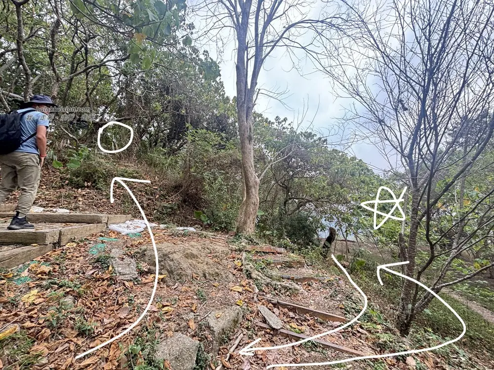 Taichung Yaorengoukeng 16