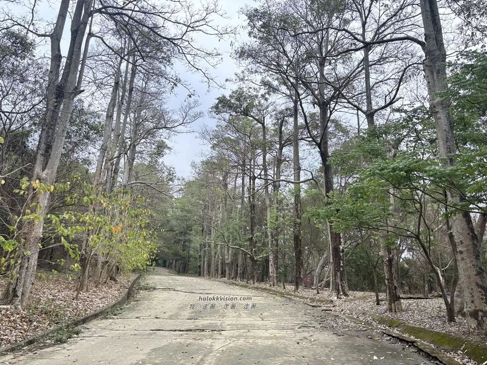 Taichung Yaorengoukeng 19