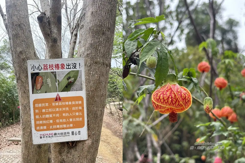 Taichung Yaorengoukeng 18