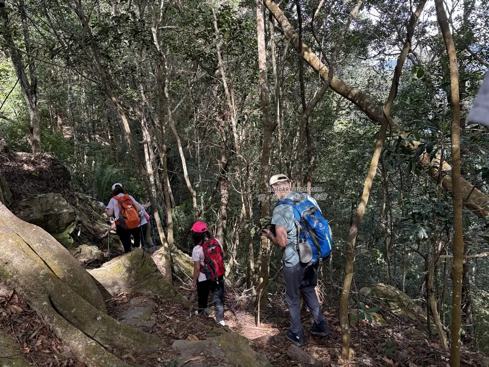Taichung Tangmadan 16