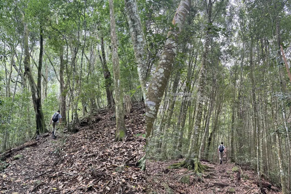 Taichung Baisanshan 14