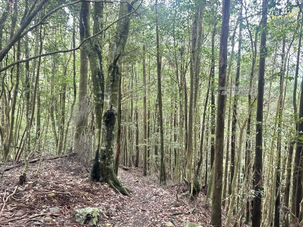Taichung Baisanshan 20