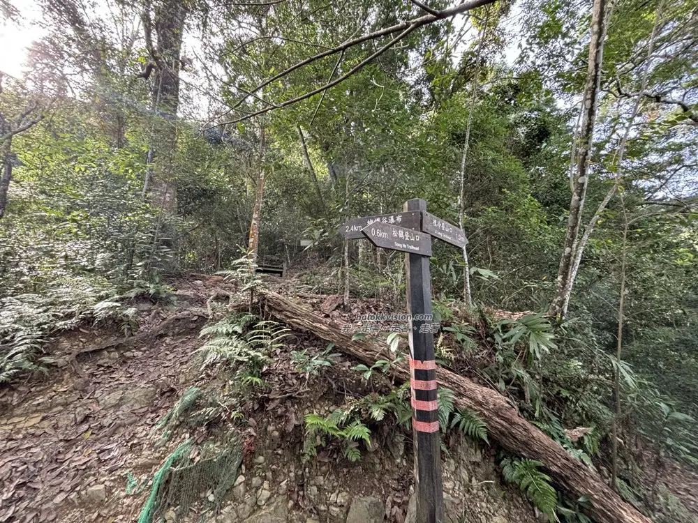 Taichung Tangmadan 7