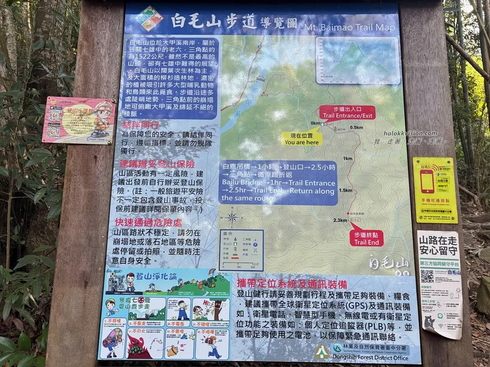 Taichung Baimao 19