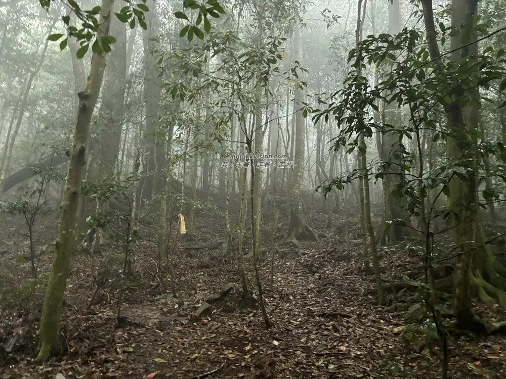 Taichung Wuwowei 10