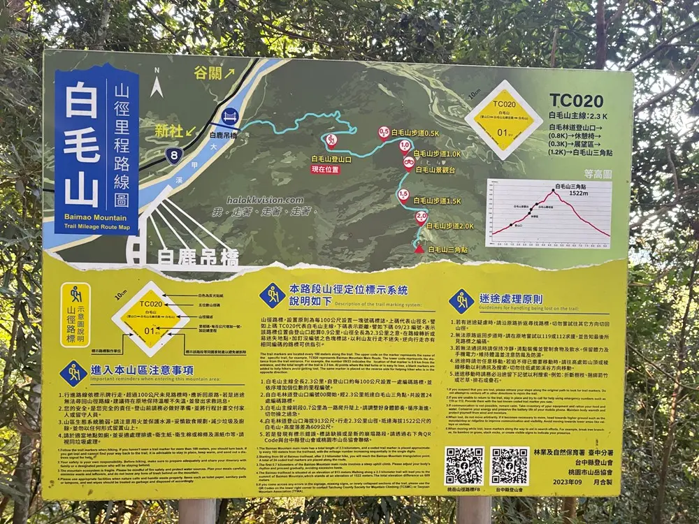 Taichung Baimao 20