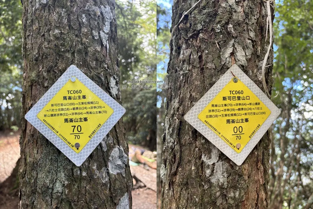 Taichung Malun 31