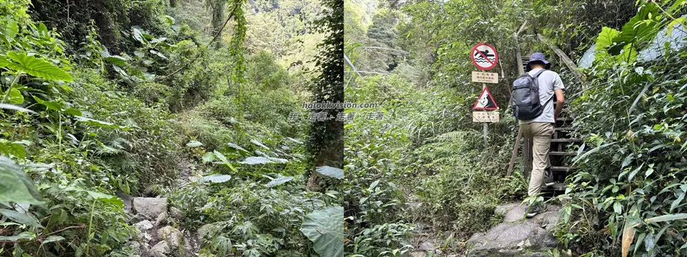 Taichung Tangmadan 24