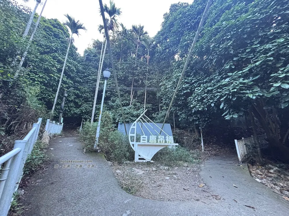 Taichung Baimao 14