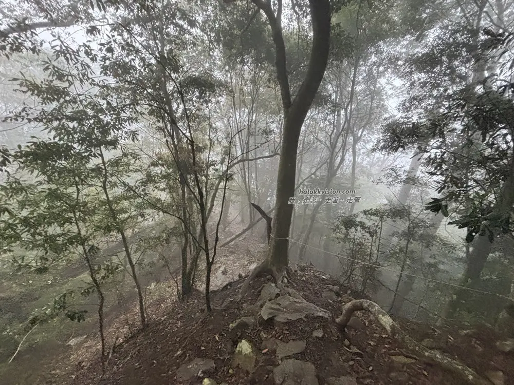Taichung Wuwowei 17