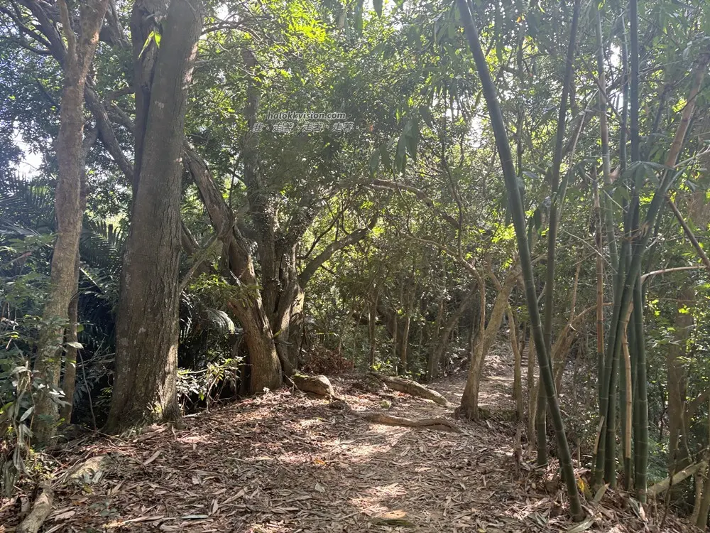 Taichung Nanguanyinshan 8