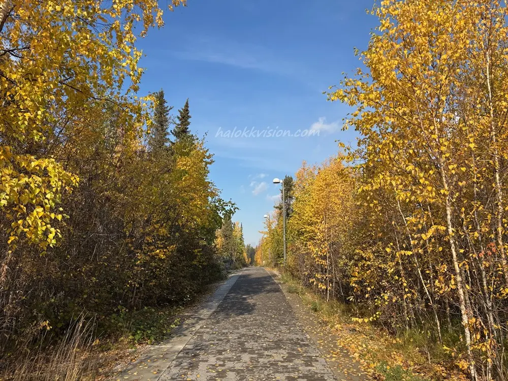 Yellowknife Tour 33