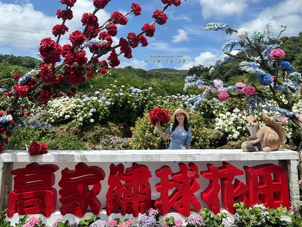 Kao.hydrangea 2026 19