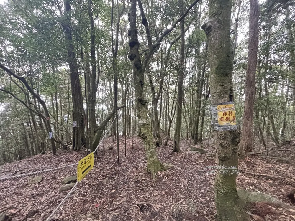 Taichung Baisanshan 30