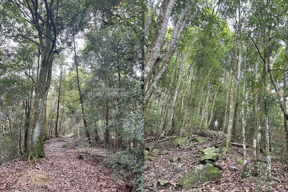 Taichung Baisanshan 15