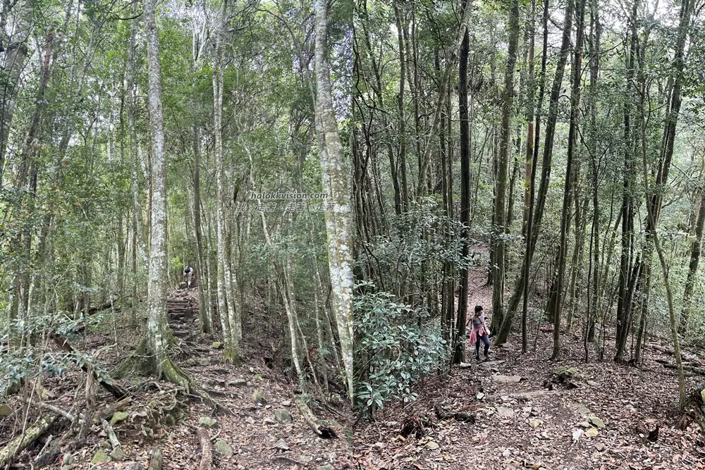 Taichung Baisanshan 13