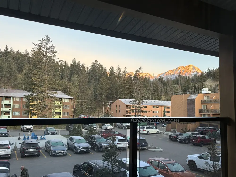 Forest Park Hotel 12