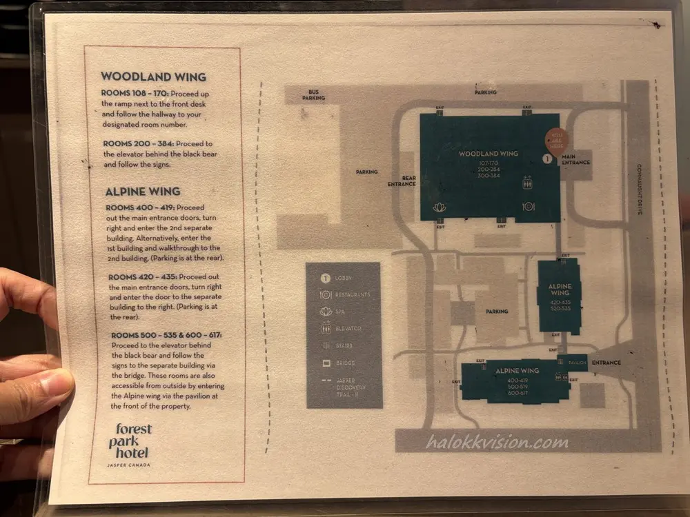Forest Park Hotel 6