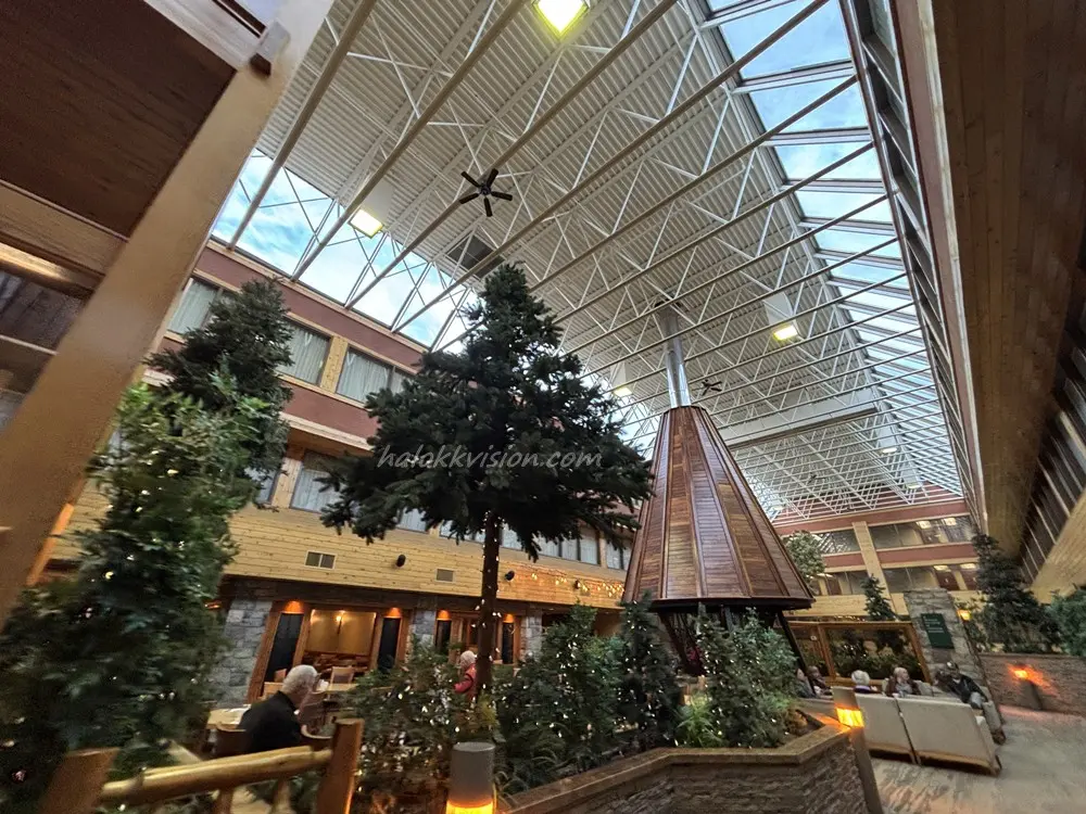 Forest Park Hotel 10