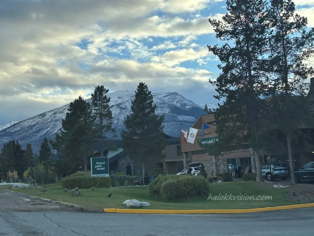 Forest Park Hotel 3