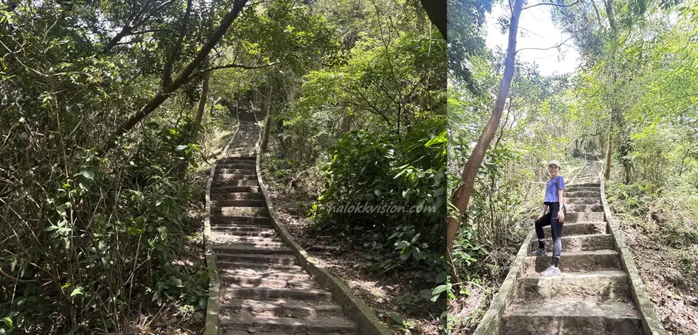 Guanyinshan Jianshan 15