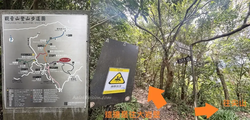 Guanyinshan Jianshan 14