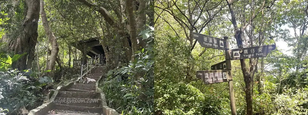 Guanyinshan Jianshan 13