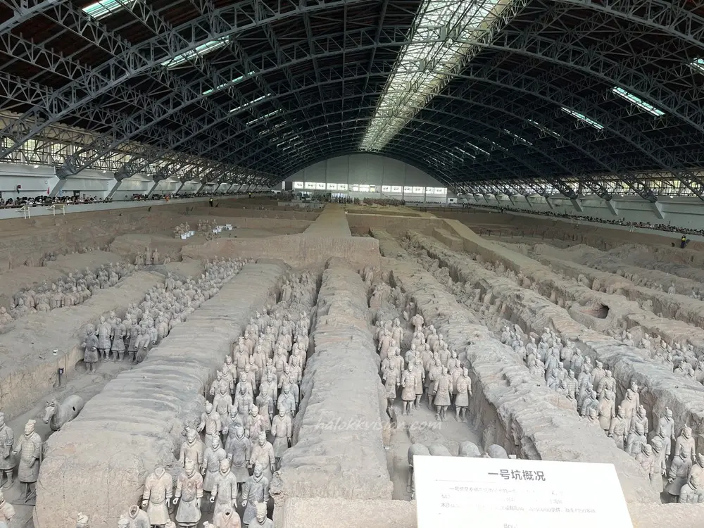 Terracotta Army 14