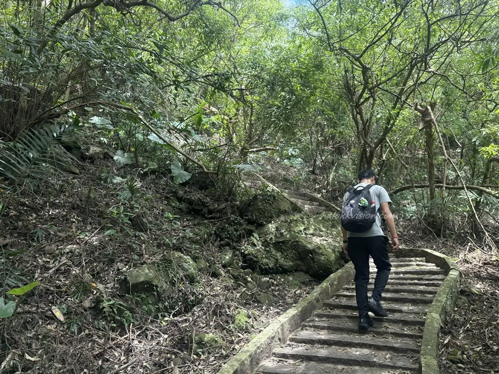 Guanyinshan Jianshan 21