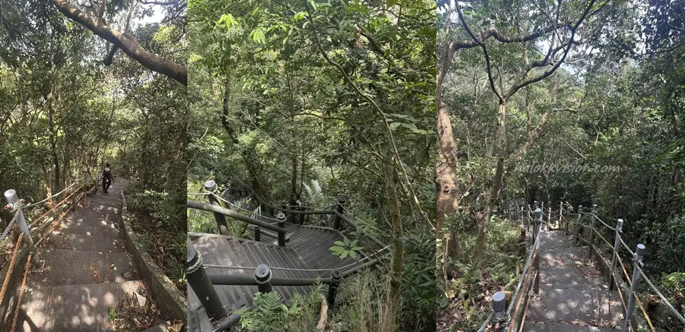 Guanyinshan Jianshan 16