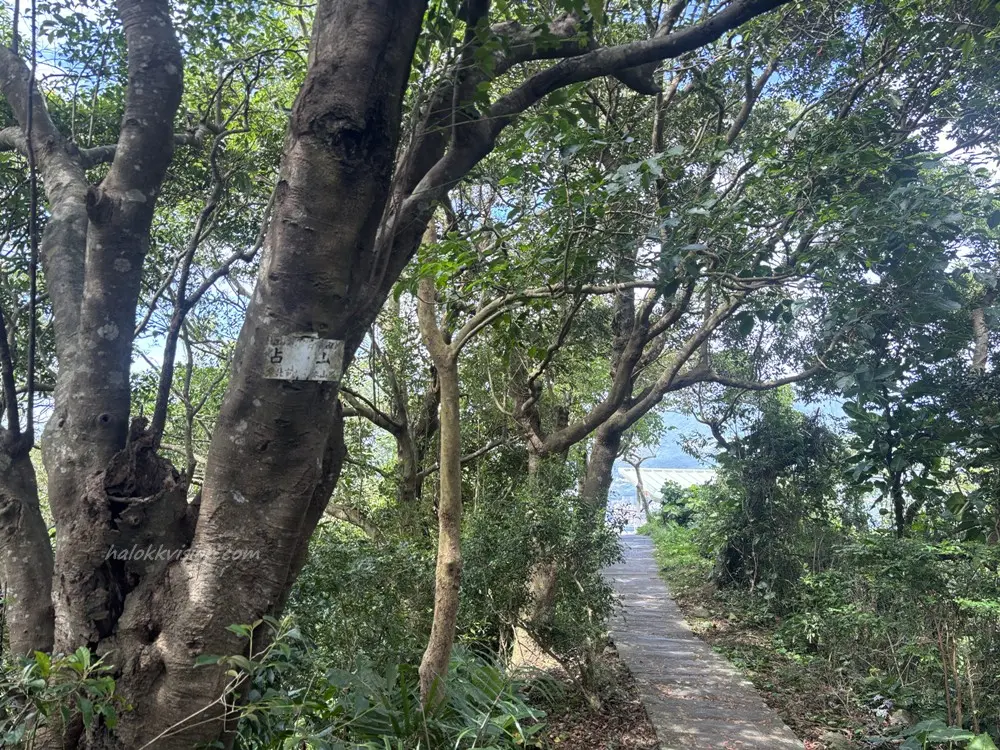 Guanyinshan Jianshan 24