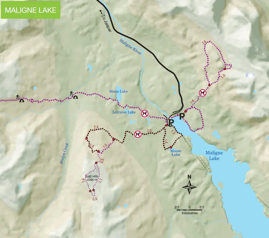 Maligne Lake Trail 