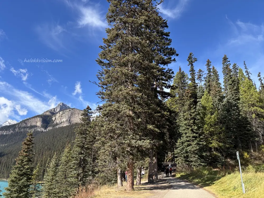 Banff Lake Louise 10